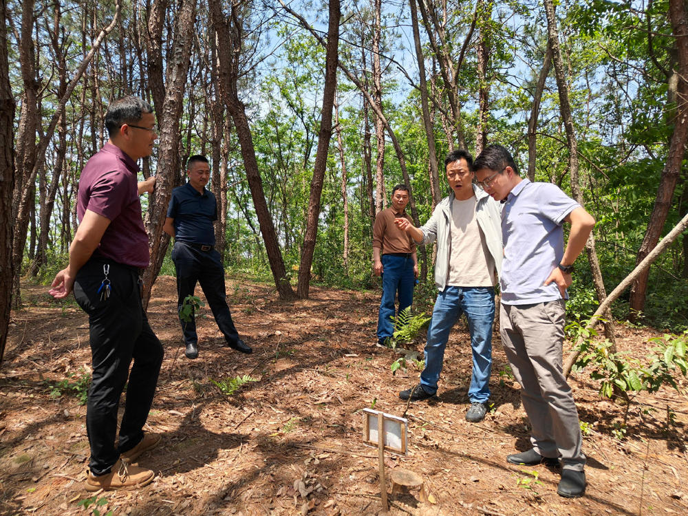 微信图片_20250425094435