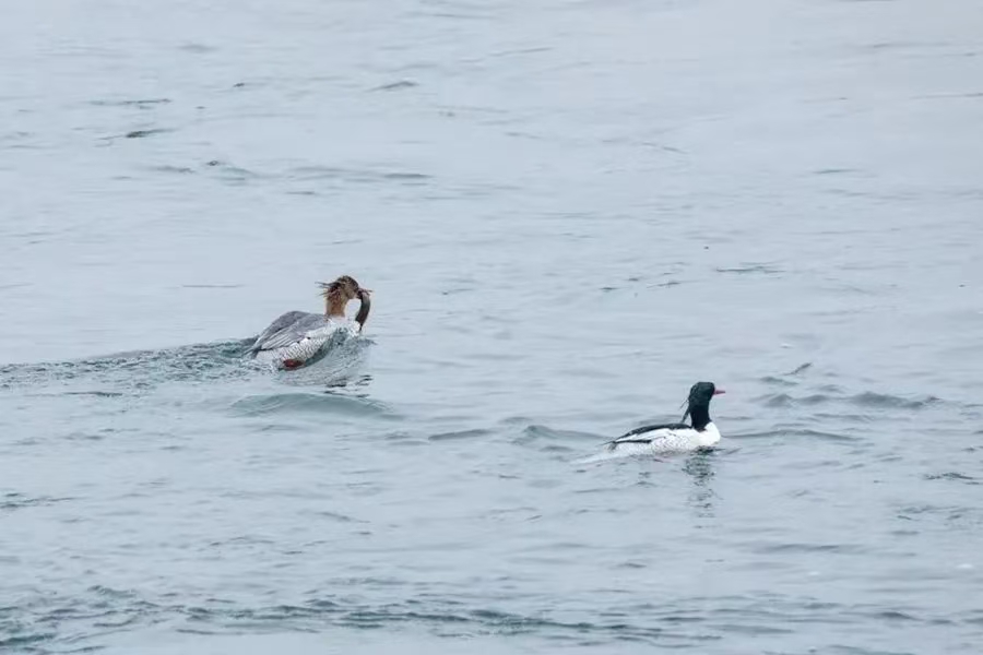 微信图片_20250425103422