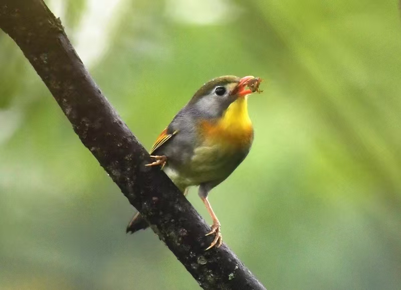 微信图片_20250509152539