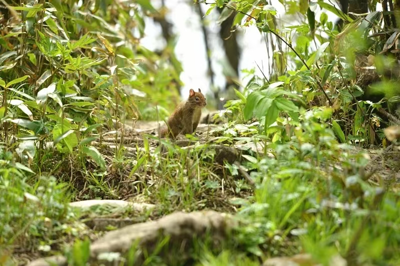 微信图片_20250509152541