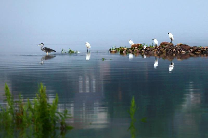 61ff935e003041488ea3deeefa2eb9d6.jpeg 61ff935e003041488ea3deeefa2eb9d6.jpeg