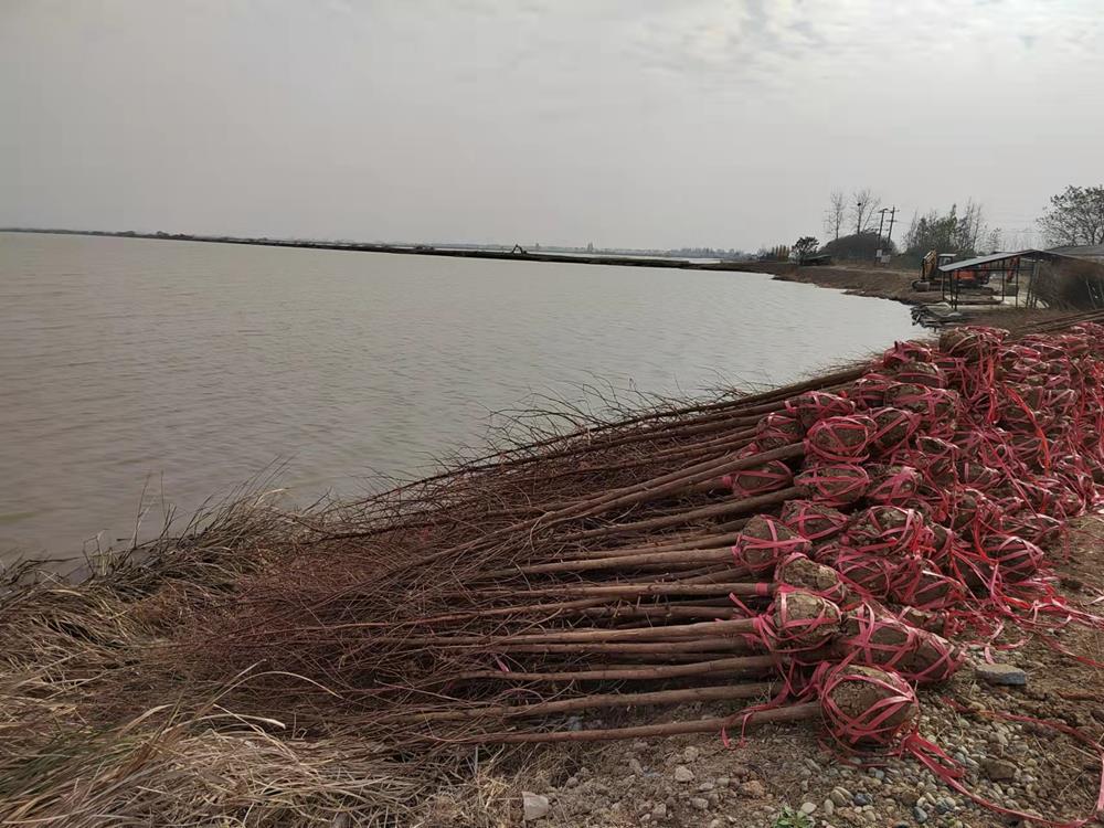 90baab24133d4e2ea78bb8b7c335732c.jpg 90baab24133d4e2ea78bb8b7c335732c.jpg