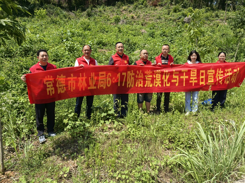 微信图片_20250617164003