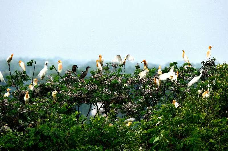 46686c654706827547741d741283f2b5