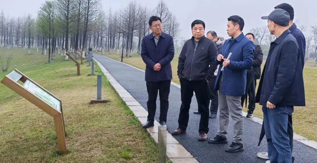 省林业局来常调研重要湿地保护修复项目建设