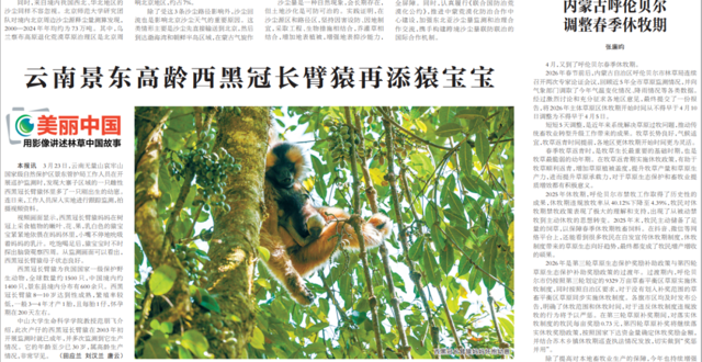 湖南桃源持续深化林改绘就生态富民新画卷