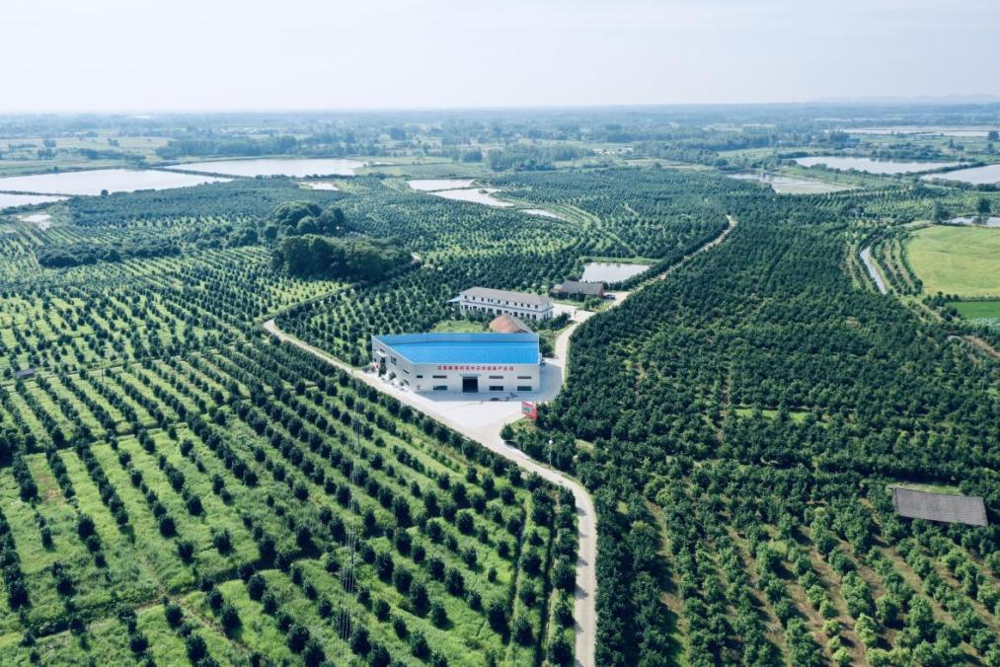 ca126978e7168960c47855f274f2dd66