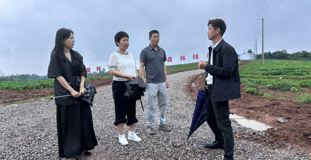 市林业局:开展安全生产检查  筑牢安全防线