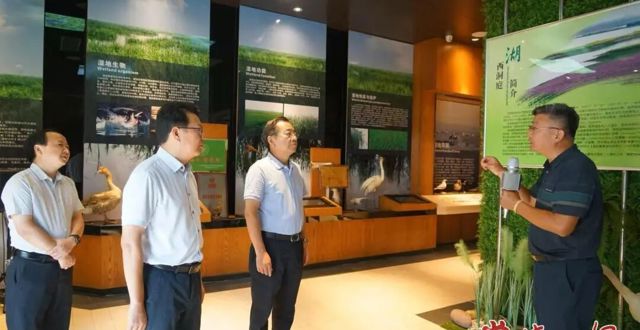 省第二生态环境保护督察组调研候鸟保护工作